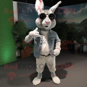 Silver Wild Rabbit mascot costume character dressed with a Chinos and Sunglasses