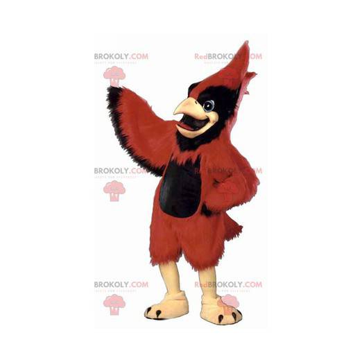 Bardzo majestatyczna czerwono-czarna maskotka ptaszek -