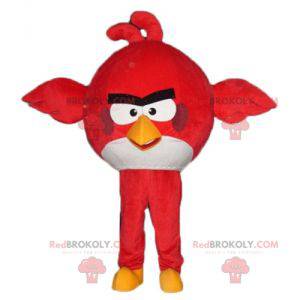 Mascot gran pájaro rojo y blanco del juego Angry Birds -