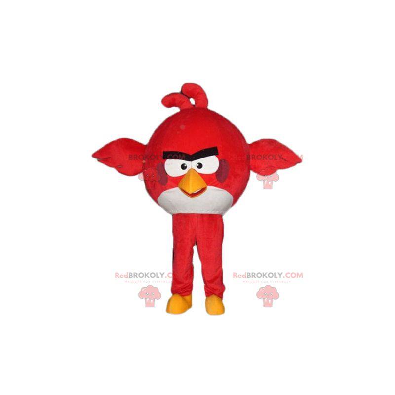 Mascot gran pájaro rojo y blanco del juego Angry Birds -