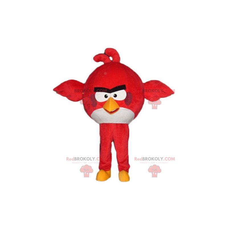 Mascotte grande uccello rosso e bianco del gioco Angry Birds -