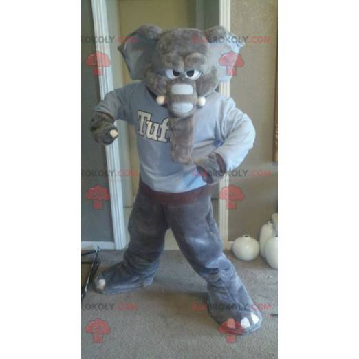 Mascotte dell'elefante grigio che sembra feroce - Redbrokoly.com