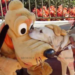 Myckey Mouse famous dog Pluto mascot - Redbrokoly.com