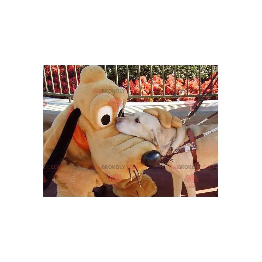 Mascotte de Pluto célèbre chien de Myckey Mouse - Redbrokoly.com