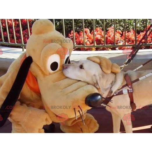 Myckey Mouse slavný pes Pluto maskot - Redbrokoly.com
