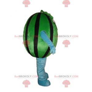 Mascotte gigante di cocomero verde e nero - Redbrokoly.com