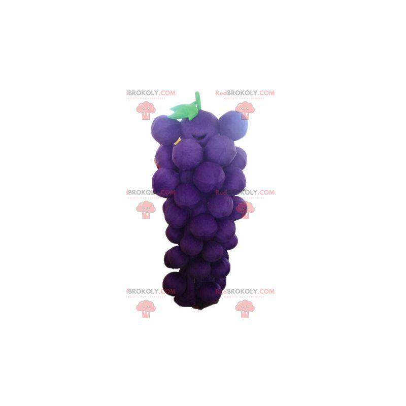 Mascote gigante de cacho de uvas roxo e verde - Redbrokoly.com