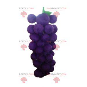Mascotte de grappe de raisin géante violette et verte -