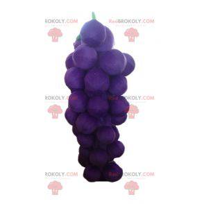 Mascotte de grappe de raisin géante violette et verte -