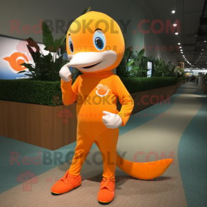 Orange Dolphin maskot...