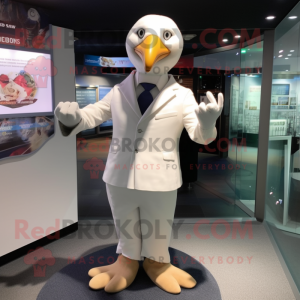  Albatros kostium maskotka...