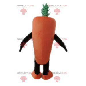 Giant carrot mascot. Vegetable mascot - Redbrokoly.com