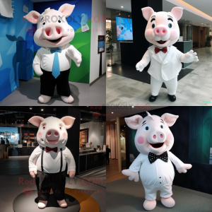 White Pig maskot kostym...