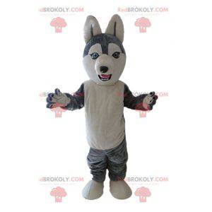 Husky maskot. Grå och vit varghundmaskot - Redbrokoly.com