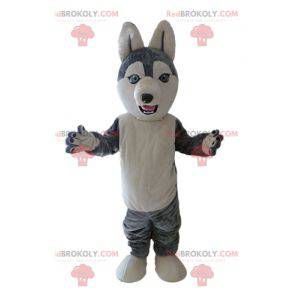 Mascote Husky. Mascote cão lobo cinzento e branco -