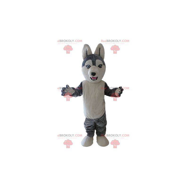 Husky maskot. Šedý a bílý vlk pes maskot - Redbrokoly.com