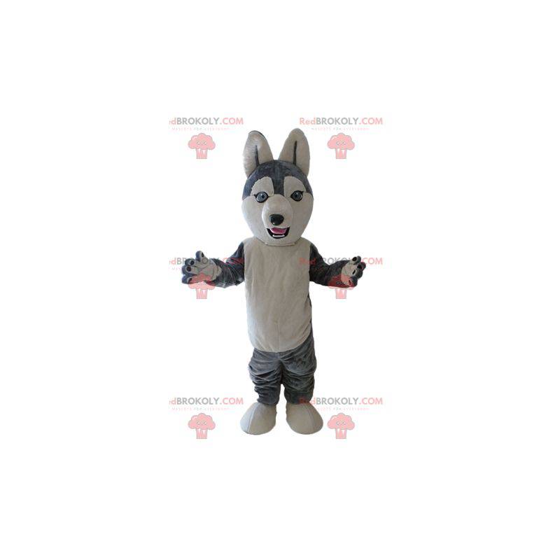 Husky-Maskottchen. Graues und weißes Wolfshundemaskottchen - Husky-Maskottchen. Graues und weißes Wolfshundemaskottchen -