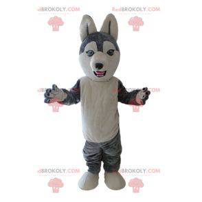 Husky maskot. Grå och vit varghundmaskot - Redbrokoly.com