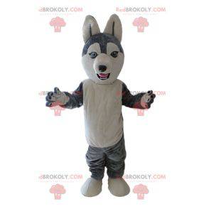 Husky maskot. Šedý a bílý vlk pes maskot - Redbrokoly.com