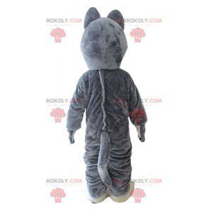 Mascotte de Husky. Mascotte de chien loup gris et blanc -