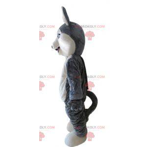 Mascote Husky. Mascote cão lobo cinzento e branco -