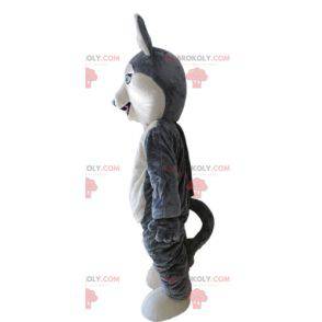 Husky-Maskottchen. Graues und weißes Wolfshundemaskottchen -