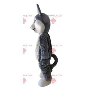 Mascote Husky. Mascote cão lobo cinzento e branco -