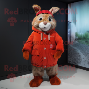 Rød villkanin maskot drakt...