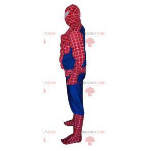 Spiderman-mascotte, de beroemde held uit het stripboek -