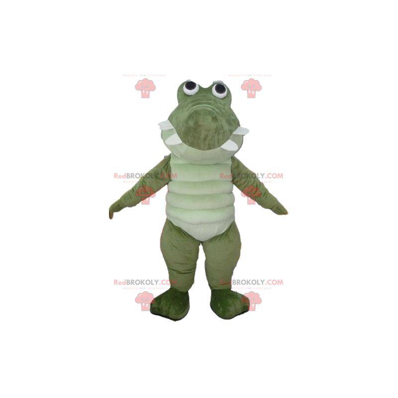 Very successful and funny large green and white crocodile