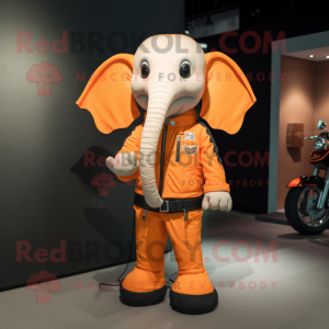 Orange Elefant maskot...
