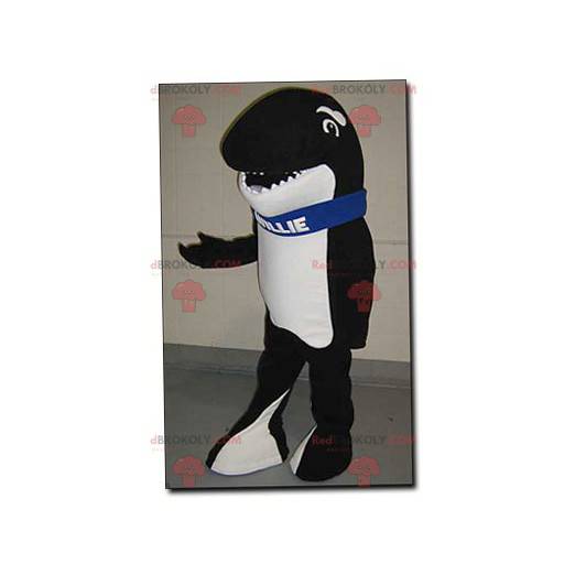 Mascota de ballena asesina en blanco y negro - mascota Willie -