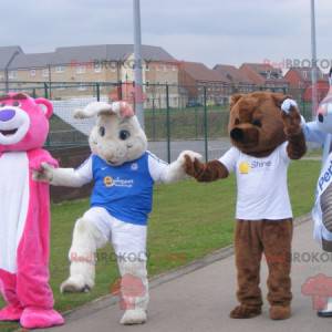 4 mascots two bears a white rabbit and a dragon - Redbrokoly.com