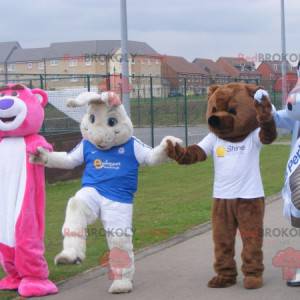 4 maskoti, dva medvědi, bílý králík a drak - Redbrokoly.com