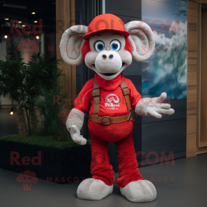 Red Ram maskot kostume...