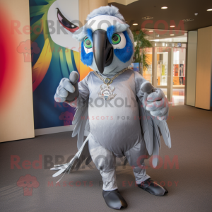 Sølv Macaw maskot kostume...