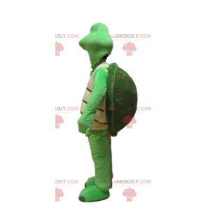 Mascotte tartaruga verde e beige - Redbrokoly.com