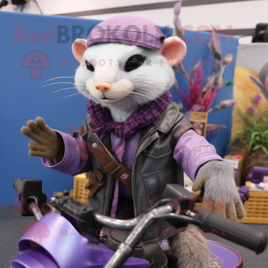 Lavender Ferret mascotte...