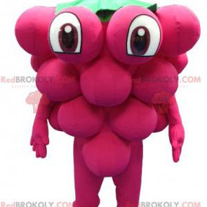 Mascote gigante de cacho de uvas - Redbrokoly.com