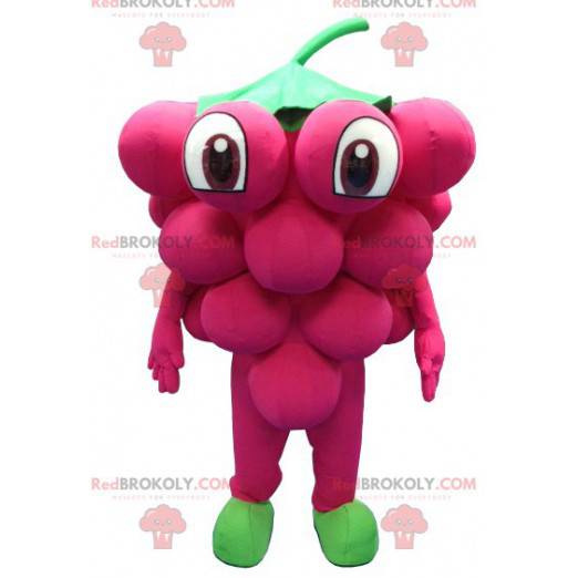 Giant bunch of grapes mascot - Redbrokoly.com