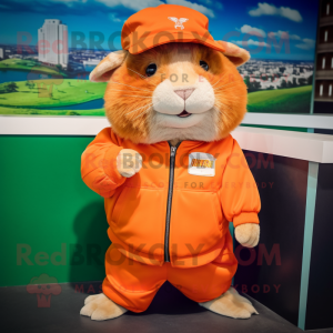 Oranje cavia mascotte...