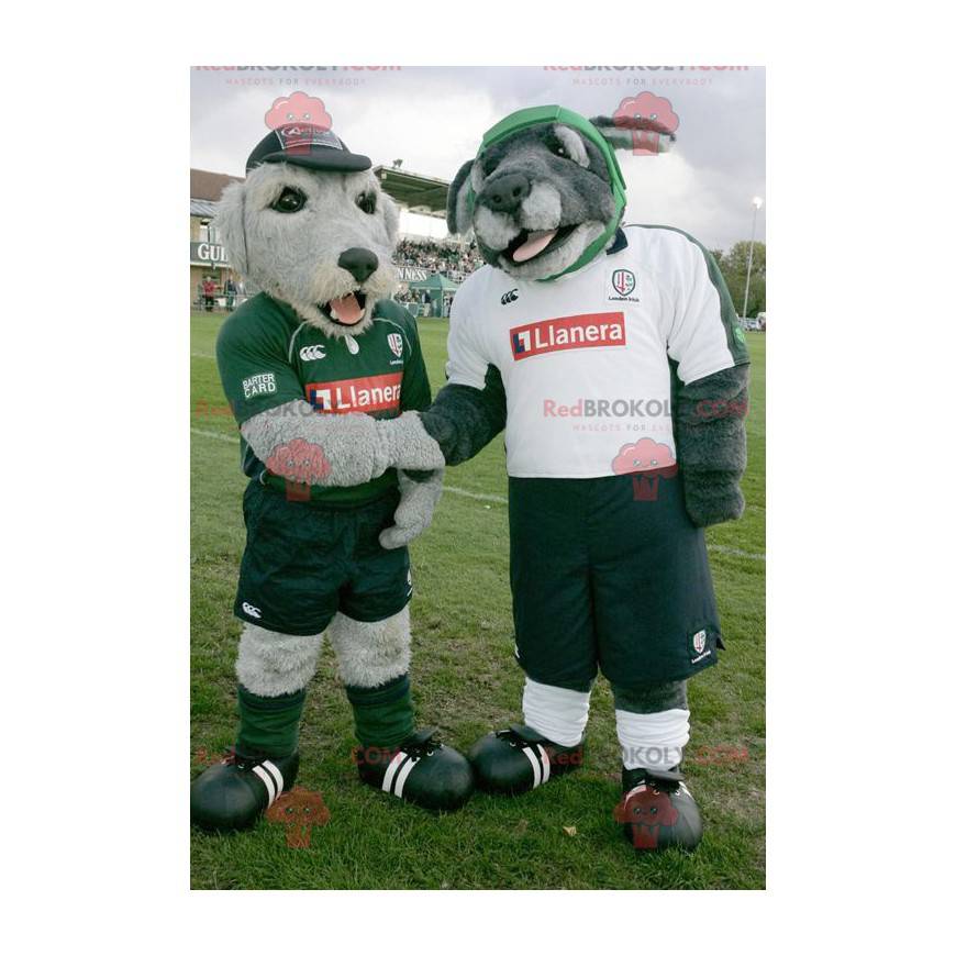 2 mascotte di cani grigi in abbigliamento sportivo -