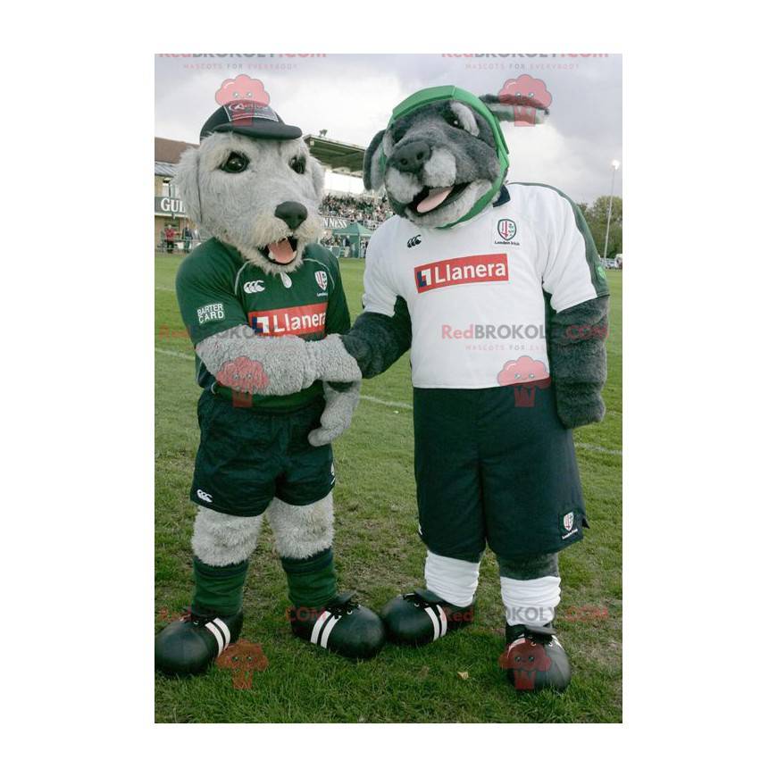 2 mascottes grijze honden in sportkleding - Redbrokoly.com 2 mascottes grijze honden in sportkleding - Redbrokoly.com