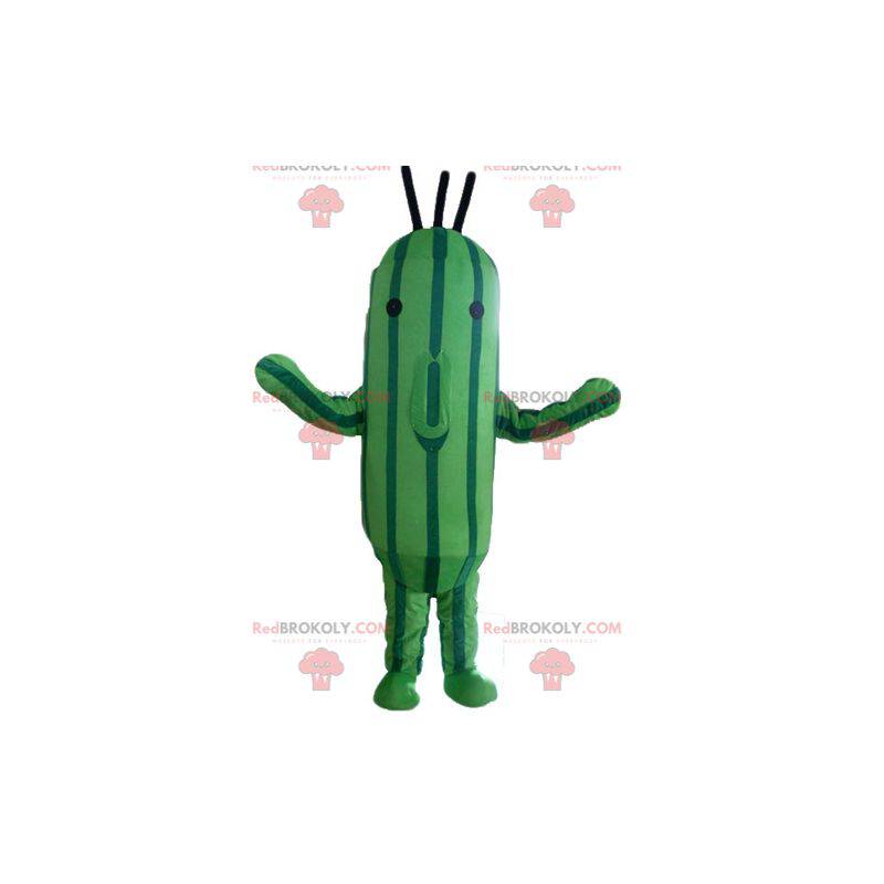 Mascotte de concombre de courgette verte bicolore -