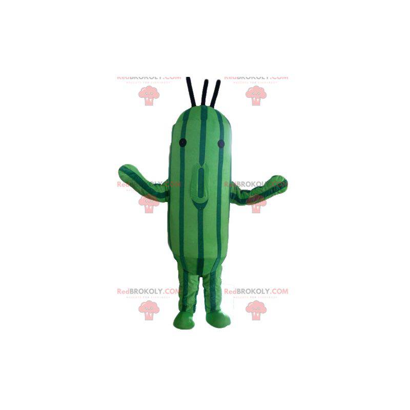 Two-tone green zucchini cucumber mascot - Redbrokoly.com