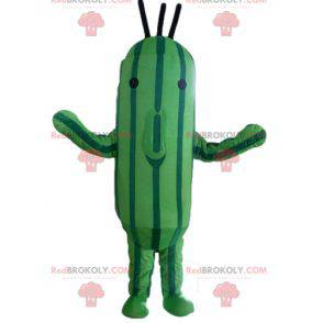 Two-tone green zucchini cucumber mascot - Redbrokoly.com