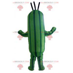 To-tone grøn zucchini agurk maskot - Redbrokoly.com