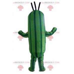 Two-tone green zucchini cucumber mascot - Redbrokoly.com