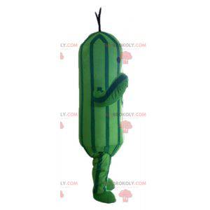 Tweekleurige groene courgette-komkommer mascotte -