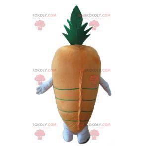 Mascote gigante de cenoura laranja e verde - Redbrokoly.com